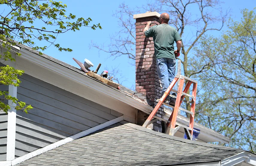 Chimney & Fireplace Inspections Services in Rubidoux, CA